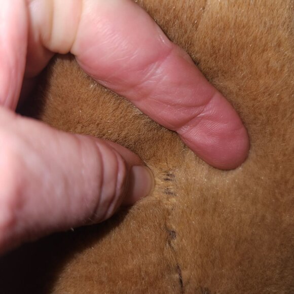 Build A Bear 10" Brown Pupping Pup Plush Toy Big Brown Dog - Picture 6 of 8